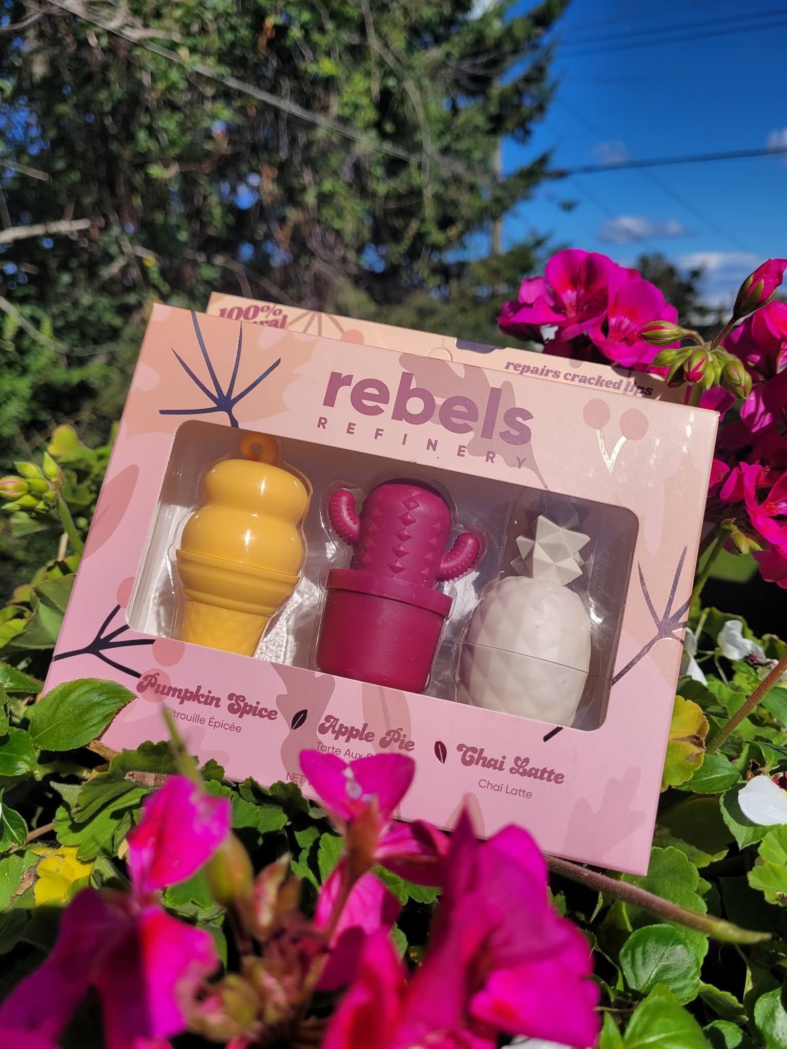 Rebels Refinery Gift Set 3 Pack Lip Balm Fall Edition
